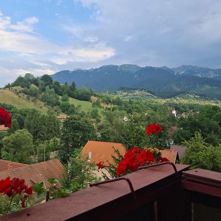 בראן Vila Muntii Bucegi & Spa מראה חיצוני תמונה