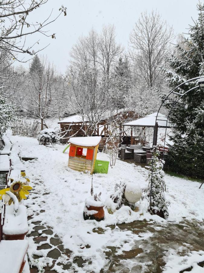 בראן Vila Muntii Bucegi & Spa מראה חיצוני תמונה