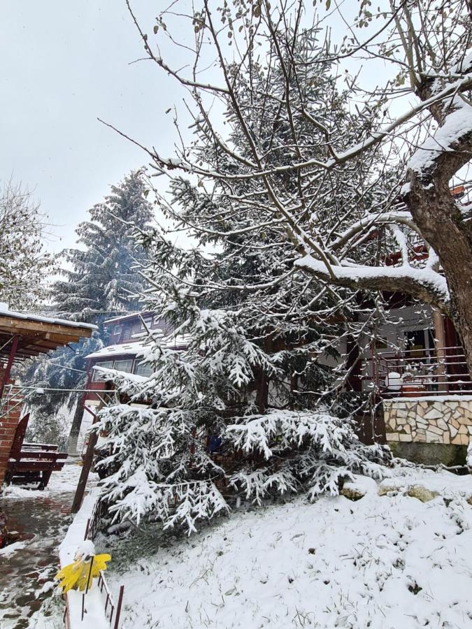 בראן Vila Muntii Bucegi & Spa מראה חיצוני תמונה