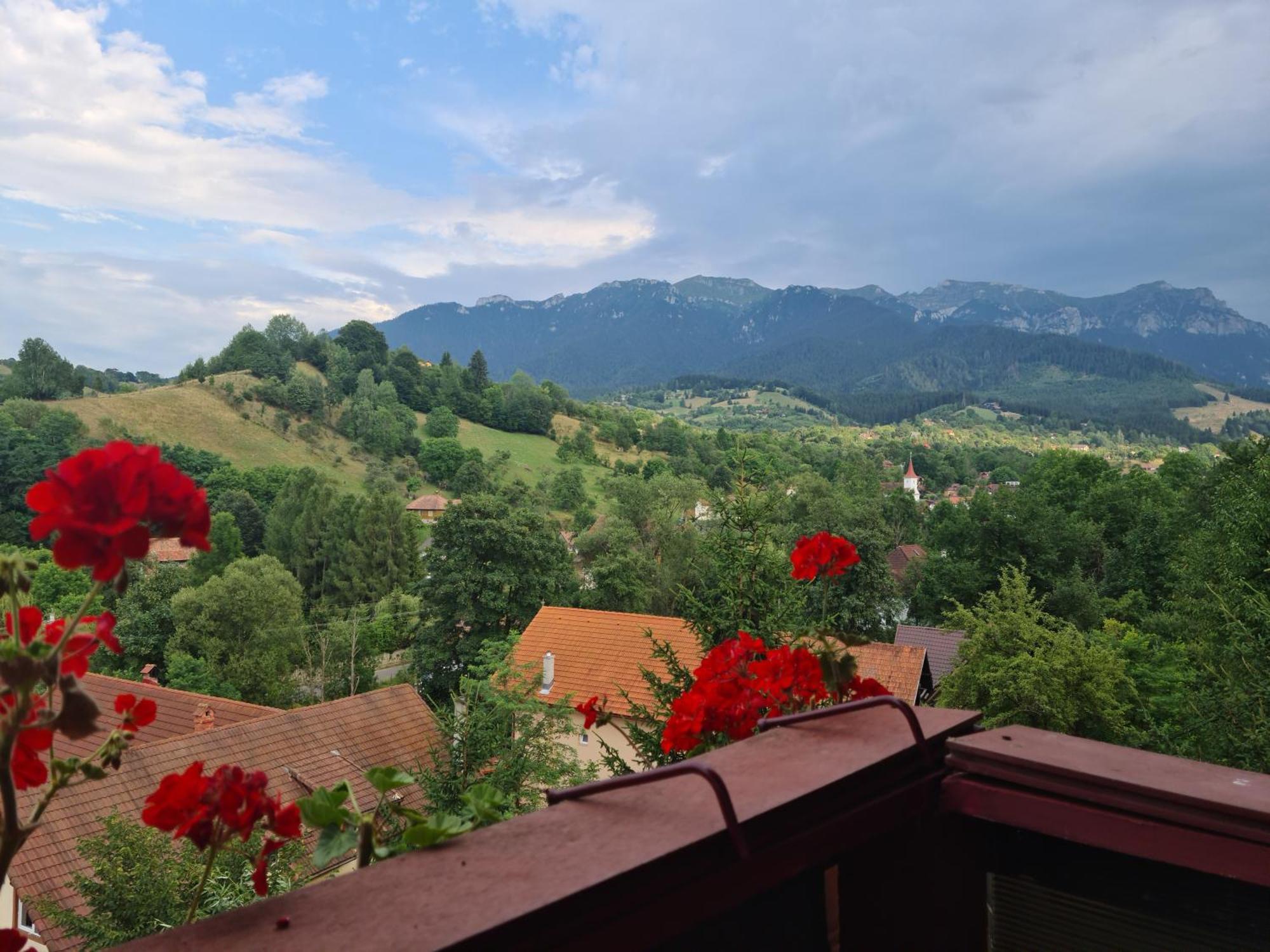 בראן Vila Muntii Bucegi & Spa מראה חיצוני תמונה