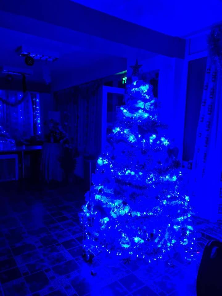 בראן Vila Muntii Bucegi & Spa מראה חיצוני תמונה