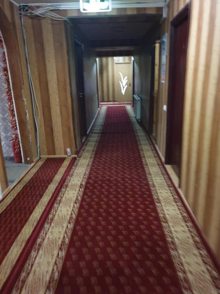בראן Vila Muntii Bucegi & Spa מראה חיצוני תמונה