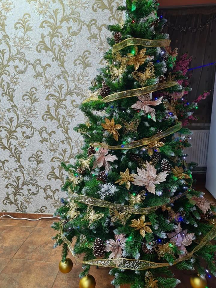 בראן Vila Muntii Bucegi & Spa מראה חיצוני תמונה