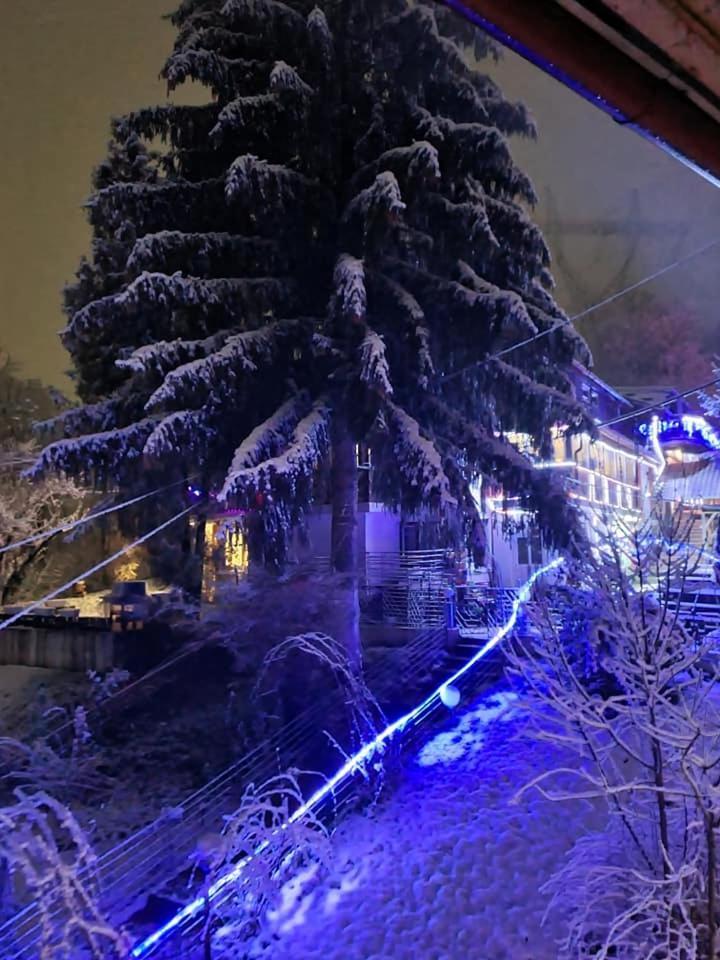בראן Vila Muntii Bucegi & Spa מראה חיצוני תמונה